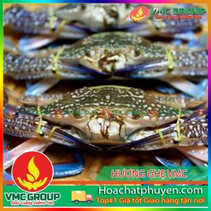 HƯƠNG GHẸ VMC CHAI 1 LÍT VIỆT NAM