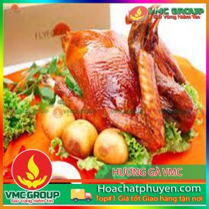 HƯƠNG THỊT GÀ VMC DẠNG BỘT TÚI 1KG